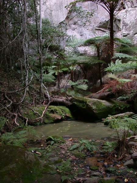 Mickey Creek